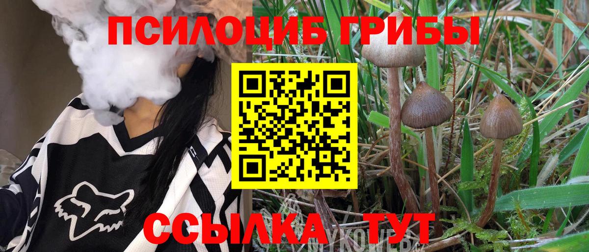 Галлюциногенные грибы Cubensis  Вход с VPN  Алушта 
